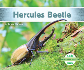 Cover: Hercules Beetle