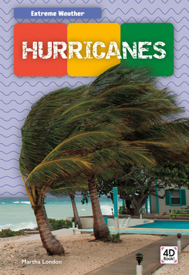 Cover: Hurricanes