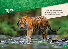 Tigers - ABDO Publishing Company