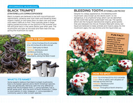 Mushrooms and Other Fungi - ABDO Publishing Company