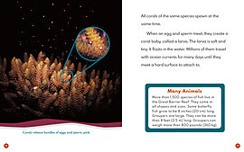 Great Barrier Reef - ABDO Publishing Company