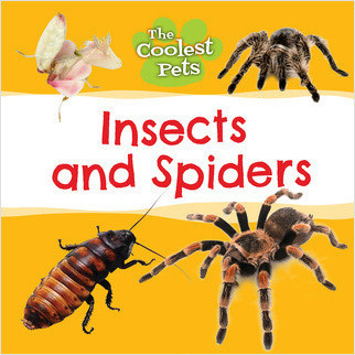 Cover: Insects and Spiders