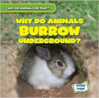 Cover: Why Do Animals Burrow Underground?