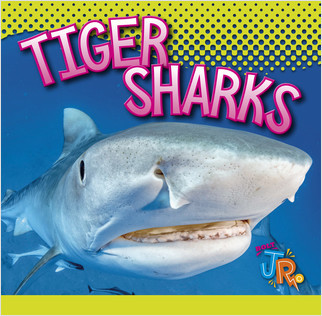 Cover: Tiger Sharks