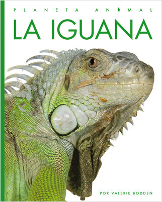 Cover: La iguana