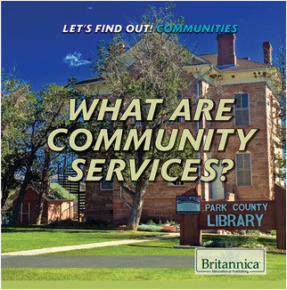 Cover: What Are Community Services?