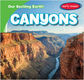 Cover: Canyons