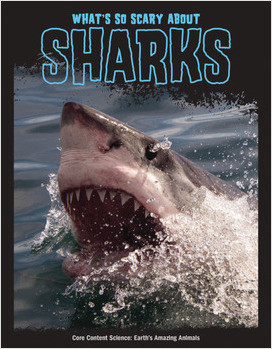 Cover: What's So Scary about Sharks?