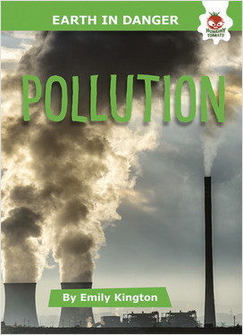 Cover: Pollution