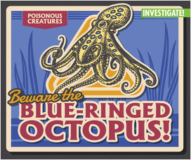 Cover: Beware the Blue-Ringed Octopus!