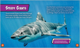 Great White Shark - Bearport Publishing