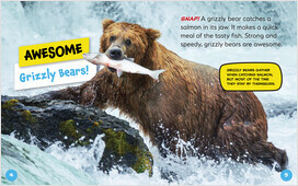 Grizzly Bear - Bearport Publishing