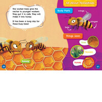 A Honeybee's Day - Bellwether Media, Inc.