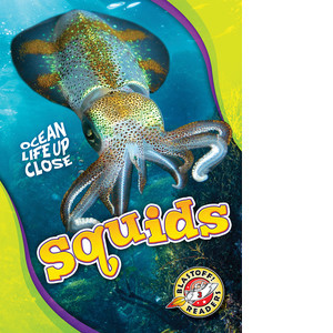 Cover: Squids