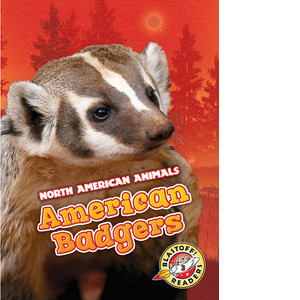 Cover: American Badgers