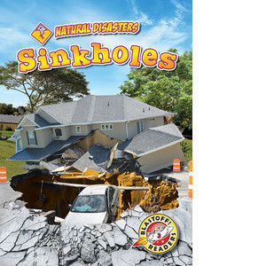 Cover: Sinkholes