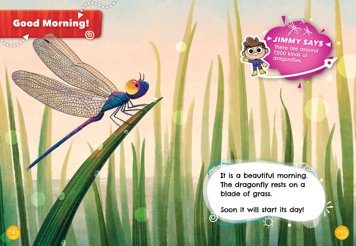 【ニクソン坊や様】RooSingle Dragonfly Pythonセット A Dragonfly's Day - Bellwether Media, Inc.