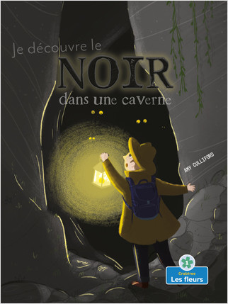 Cover: Je découvre le noir dans une caverne (I Spy Black in a Cave)