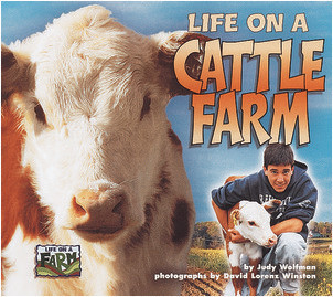 Cover: Life on a Cattle Farm