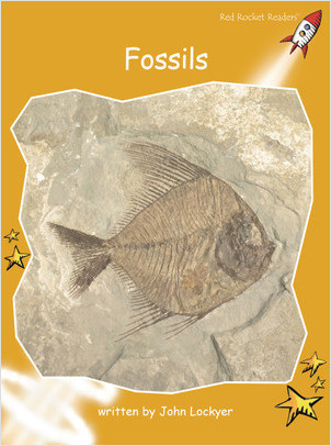 Cover: Fossils