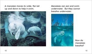 manateeページ　スクイーズ4点 m_9780822524410_int.jpg