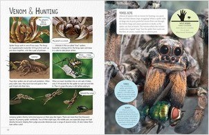 Deadly Spiders - Lerner Publishing Group