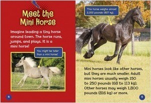 Mini Horses - Lerner Publishing Group