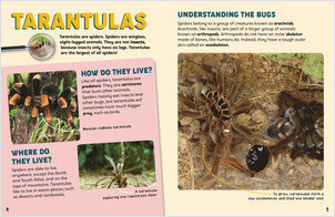 Tarantulas on the Hunt - Lerner Publishing Group