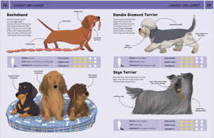 Pawesome Dog Awards - Lerner Publishing Group