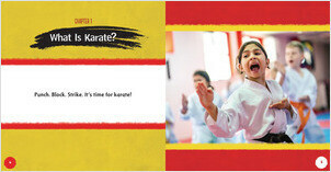 A Look at Karate - Lerner Publishing Group